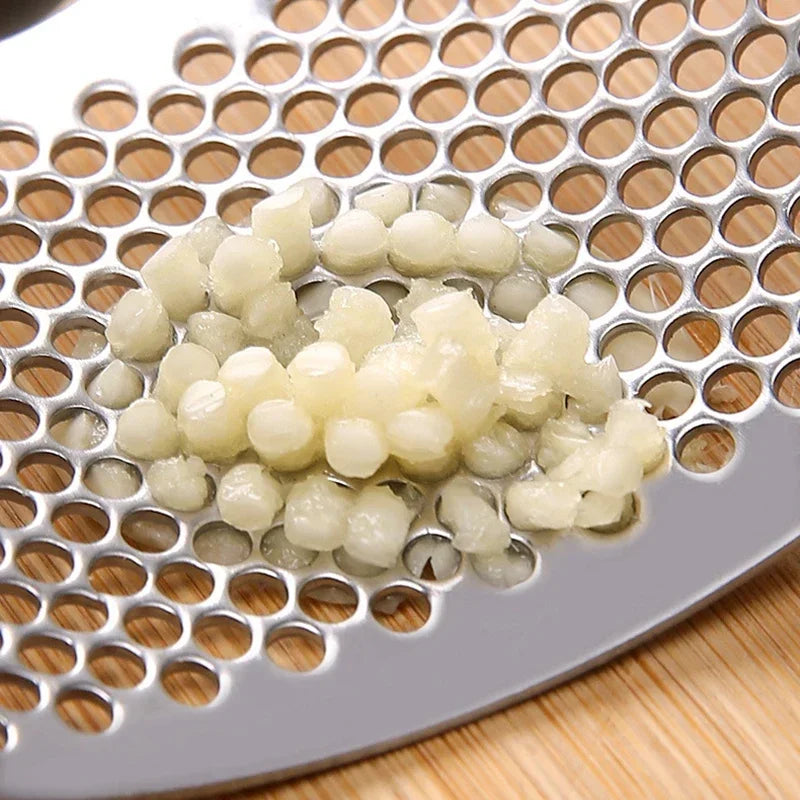 Stainless Steel Garlic Press